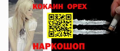 мдпв Камышлов
