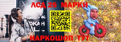 мдпв Камышлов