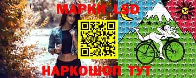 мдпв Камышлов