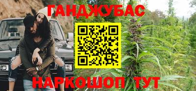 мдпв Камышлов