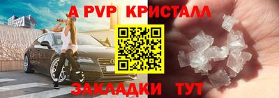 мдпв Камышлов