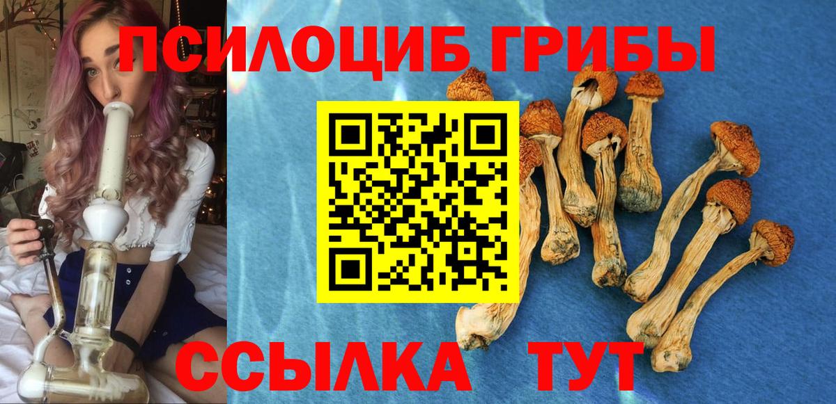 купить  сайты  Вход с VPN  Ялта  Галлюциногенные грибы Magic Shrooms 