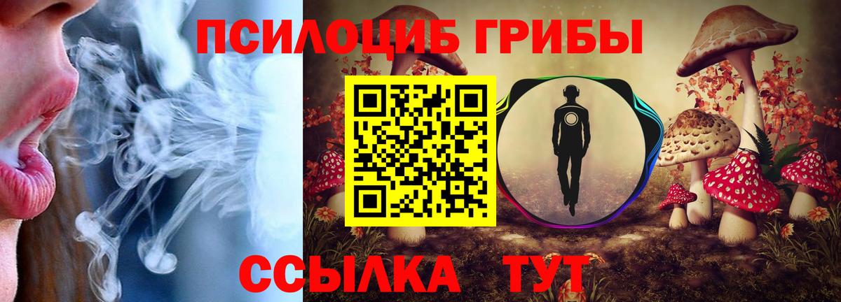 Псилоцибиновые грибы мухоморы Ялта